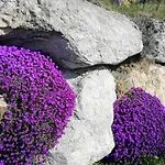Weinberghaus Casa vacanze *
