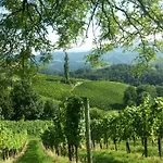 Weinberghaus Casa vacanze Ratsch an der Weinstraße