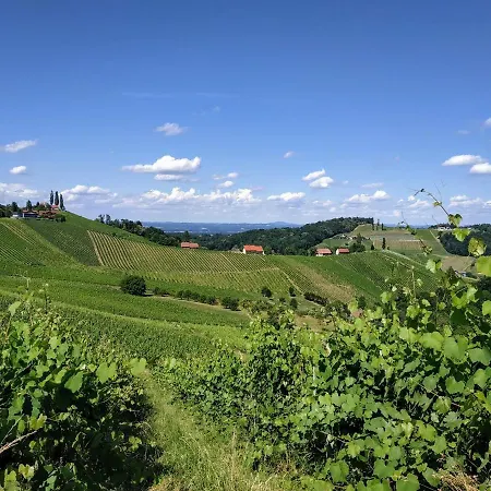 Weinberghaus Holiday home Ratsch an der Weinstrasse