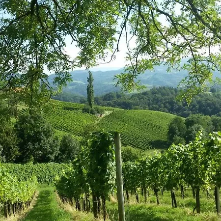 Weinberghaus Holiday home Ratsch an der Weinstrasse