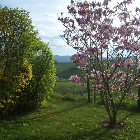 Weinberghaus بيت للعطل