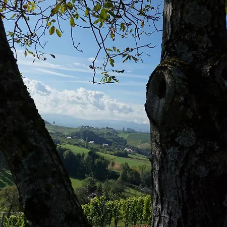 Weinberghaus Holiday home *