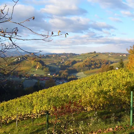 Weinberghaus * Ratsch an der Weinstraße