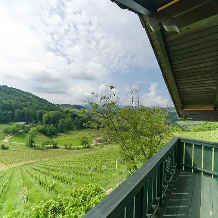 Weinberghaus بيت للعطل Ratsch an der Weinstraße