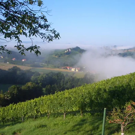 Holiday home Weinberghaus Ratsch an der Weinstrasse