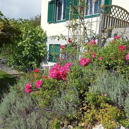 Holiday home Weinberghaus