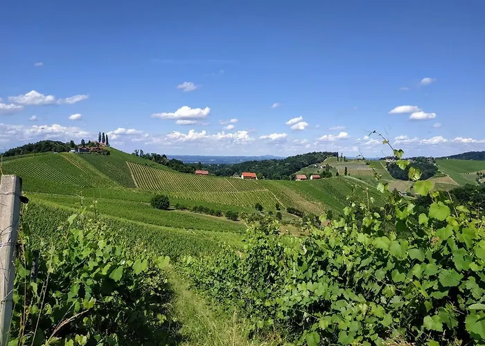 Weinberghaus بيت للعطل Ratsch an der Weinstraße