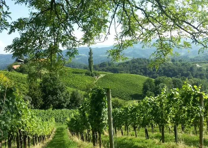 Weinberghaus بيت للعطل Ratsch an der Weinstraße
