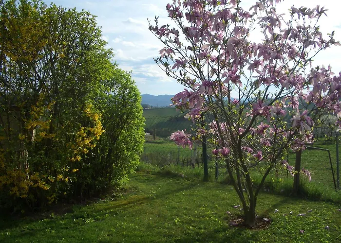 Weinberghaus بيت للعطل