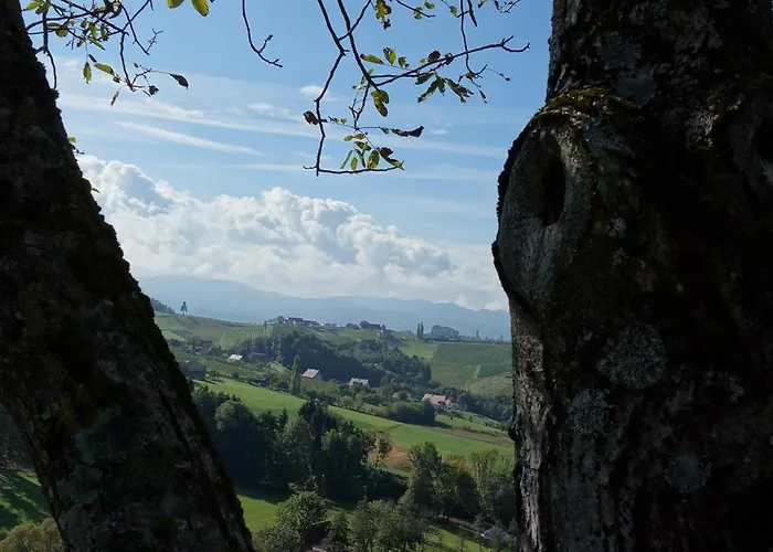 Weinberghaus بيت للعطل *