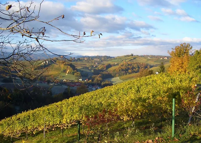 Weinberghaus * Ratsch an der Weinstraße