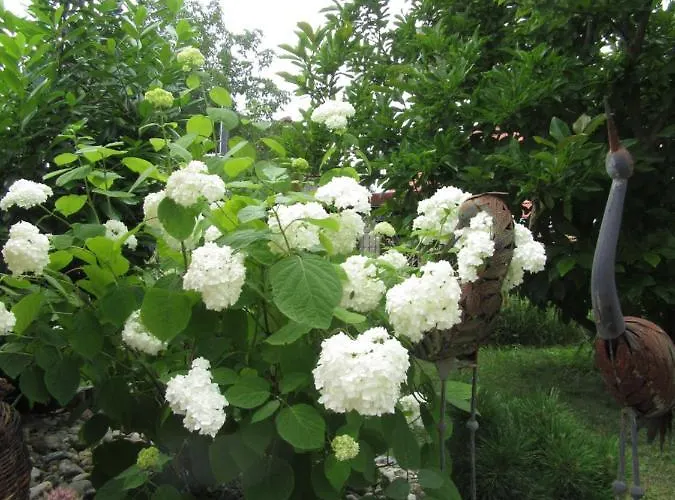 بيت للعطل Weinberghaus *