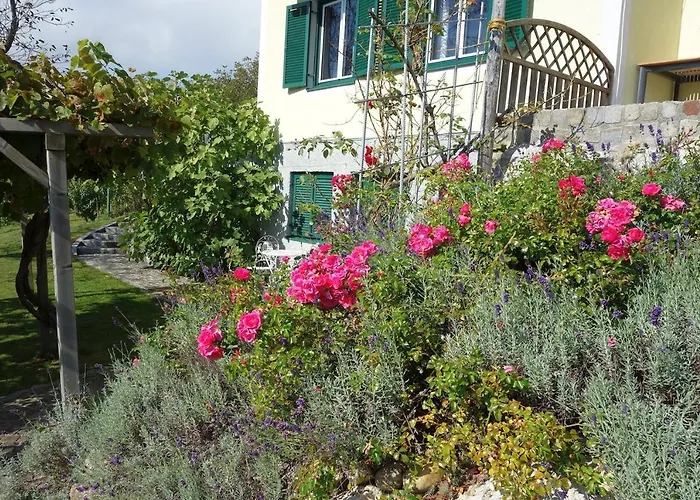 بيت للعطل Weinberghaus